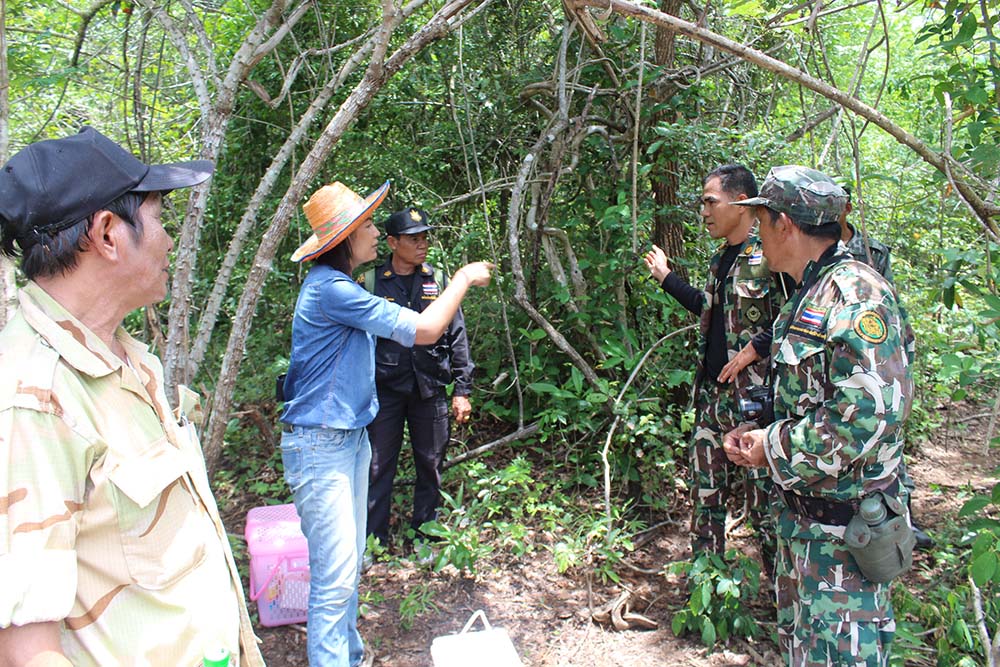 พบกระทิงเจ็บเขตป่าครบุรีโคราชจนท.ยิงยารักษาแล้วเฝ้าติดตามดูอาการใกล้ชิดอีก7วัน